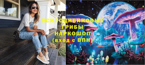 спайс Алексин