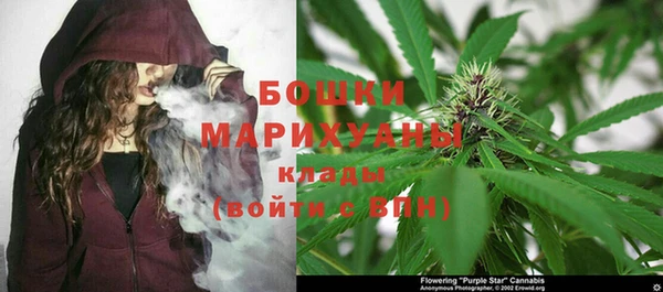 прущие грибы Гусиноозёрск