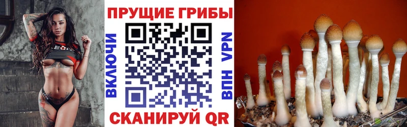 Галлюциногенные грибы ЛСД Усть-Илимск